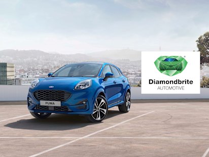 Diamondbrite Paint Fabric Protection Cardiff Swansea South