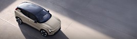 BUSINESS & FLEET SALES