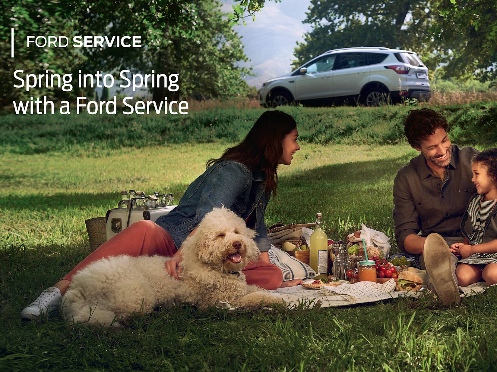 Spring Into Spring With A Ford Service Cardiff Swansea South