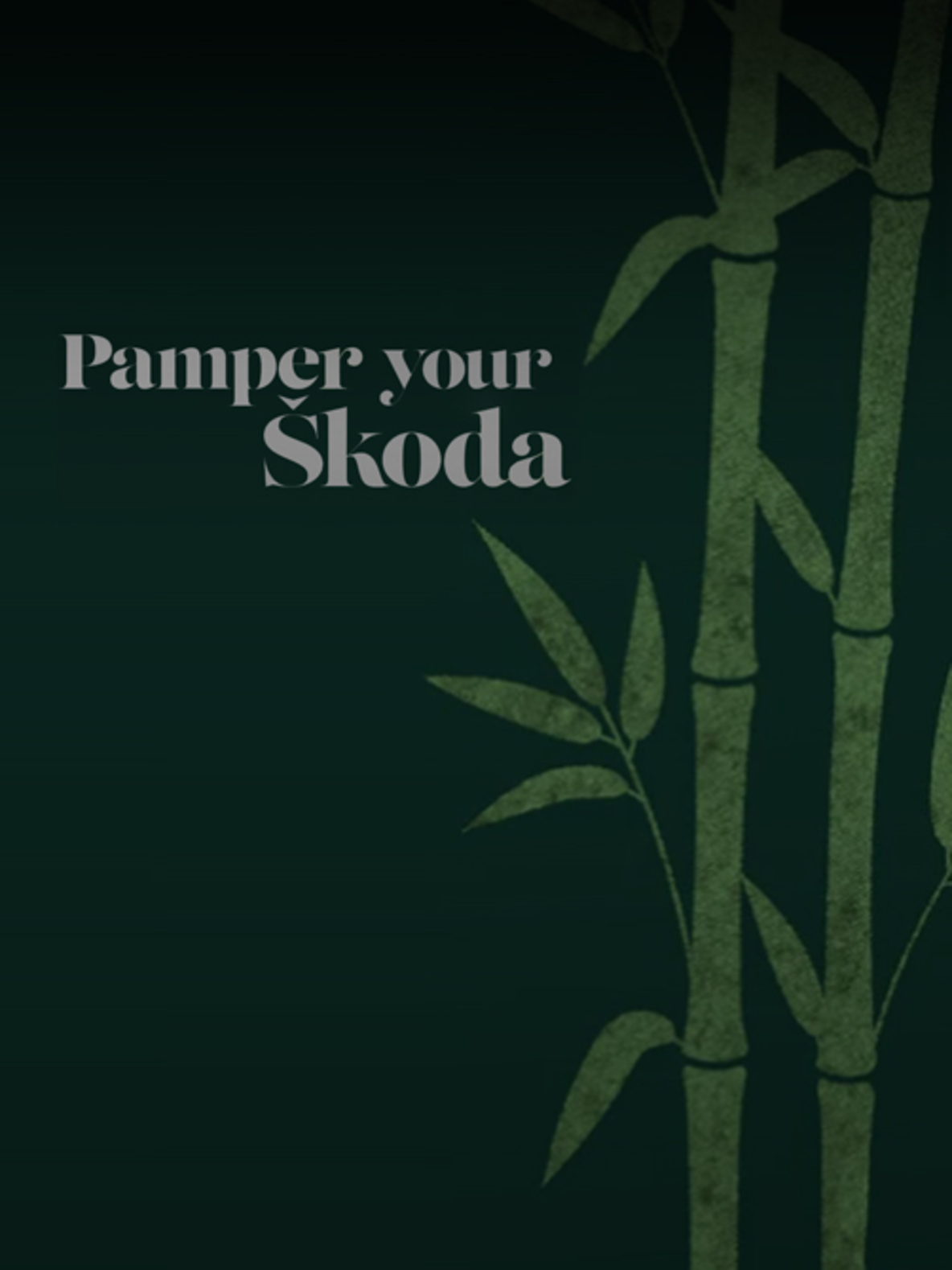 All-In Service Plan from Skoda