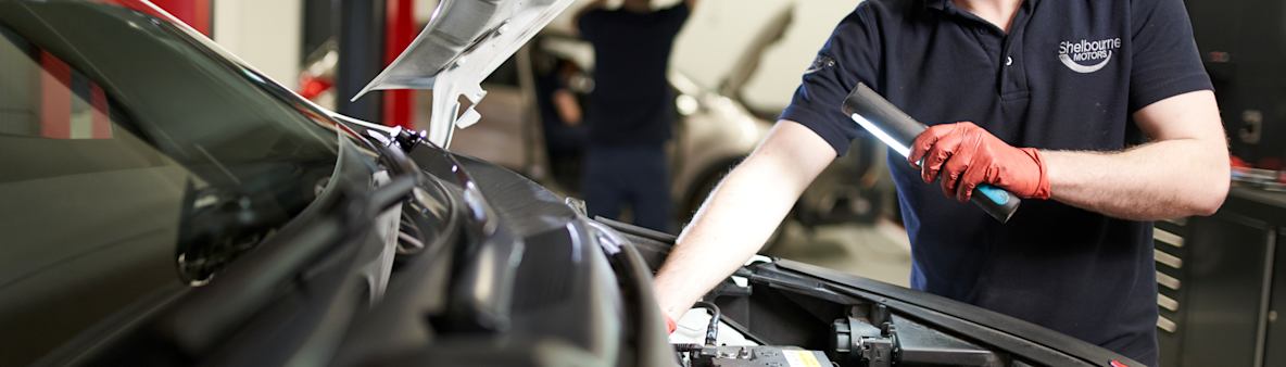 SERVICE & MAINTENANCE
