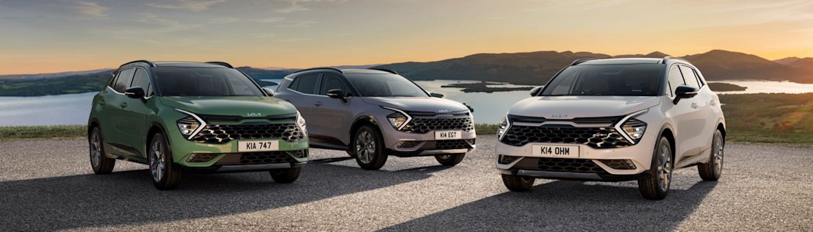 FAMILY SIZE CAR RENTALS