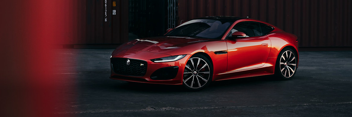 JAGUAR HANDPICKED