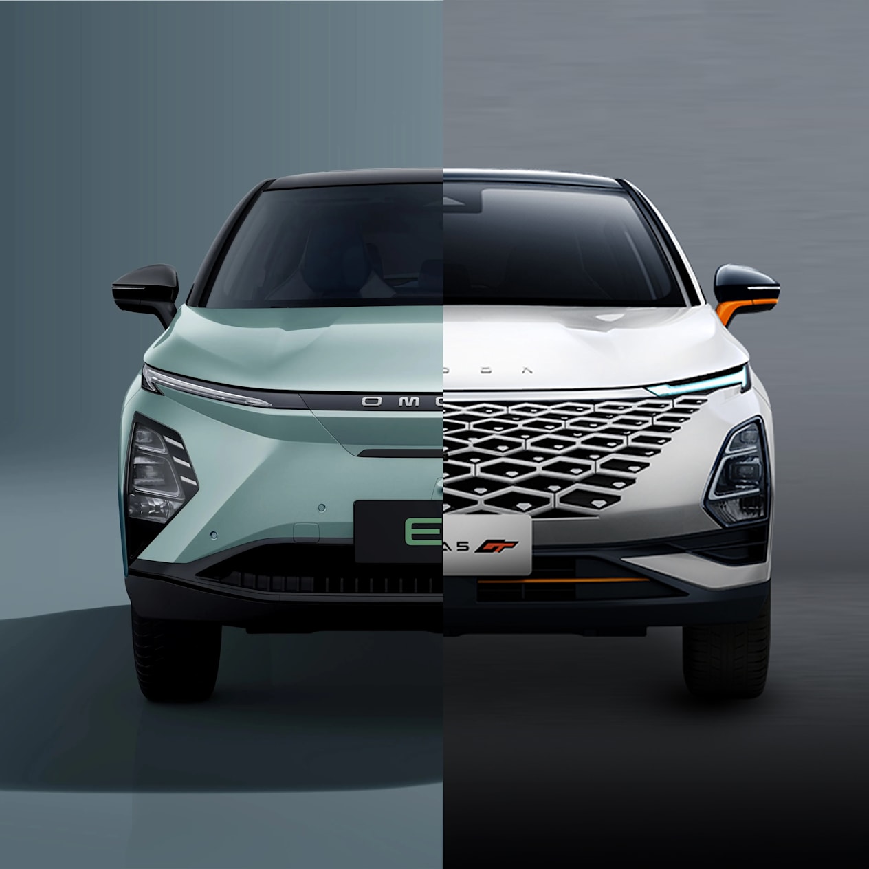 petrol & electric 