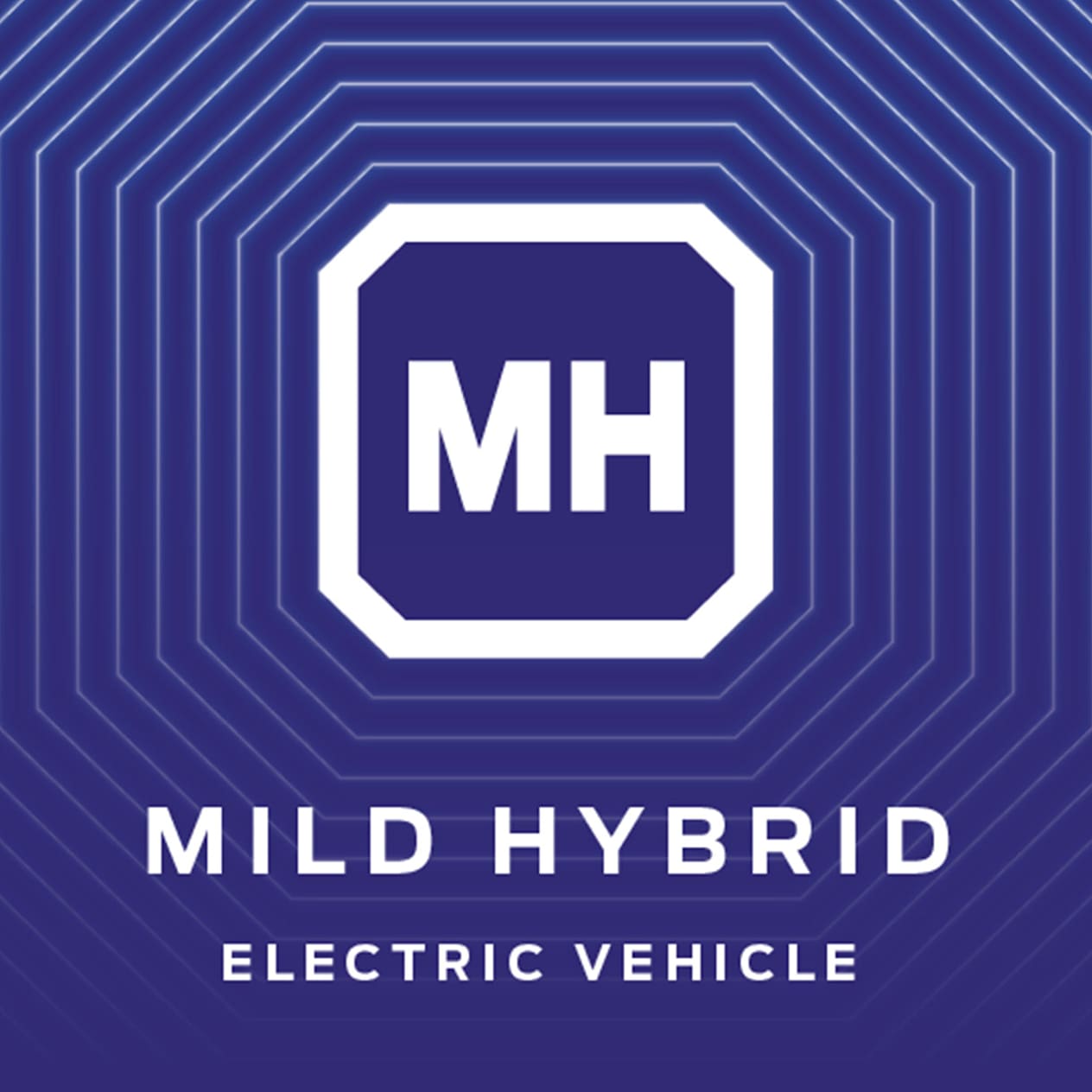 Mild Hybrid Image