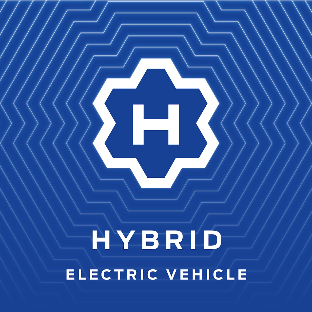 Electric Vehicle - Hybrid Electric Vehicle - Hybrid