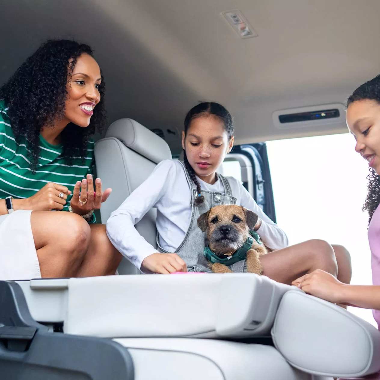 Best Cars for Dog Owners in 2025