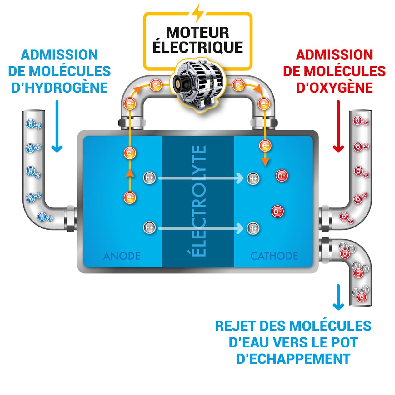 Schéma du fonctionnement d'une pile à combustible