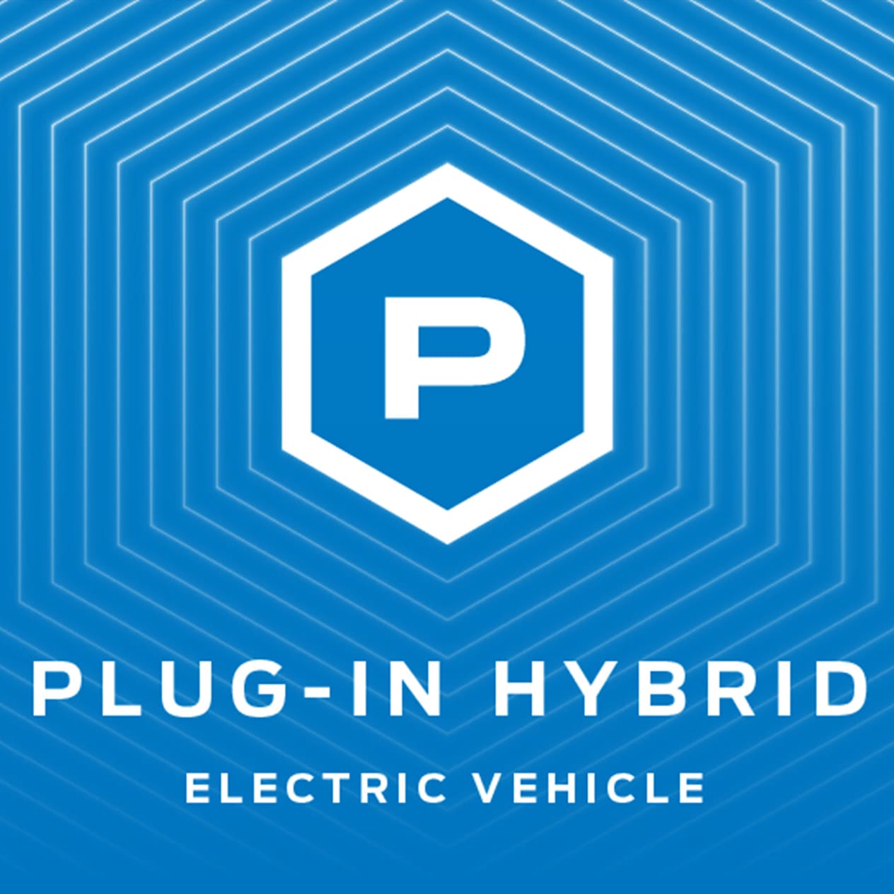 Plug-In Hybrid Image