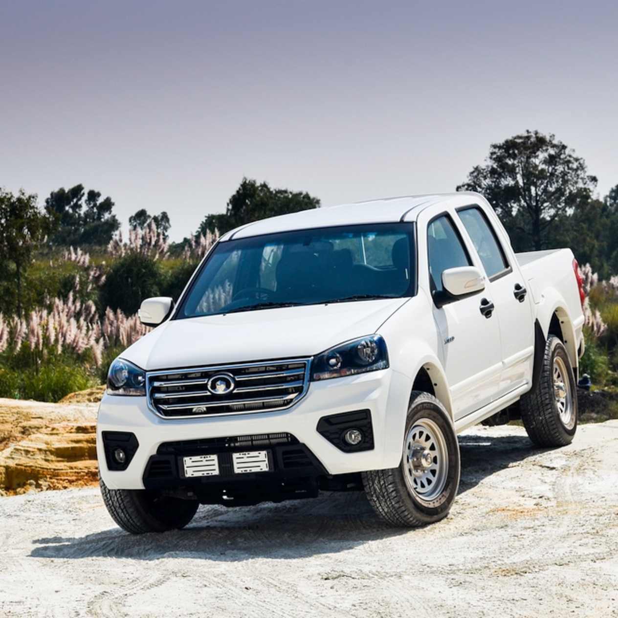 GWM Steed 5 DC