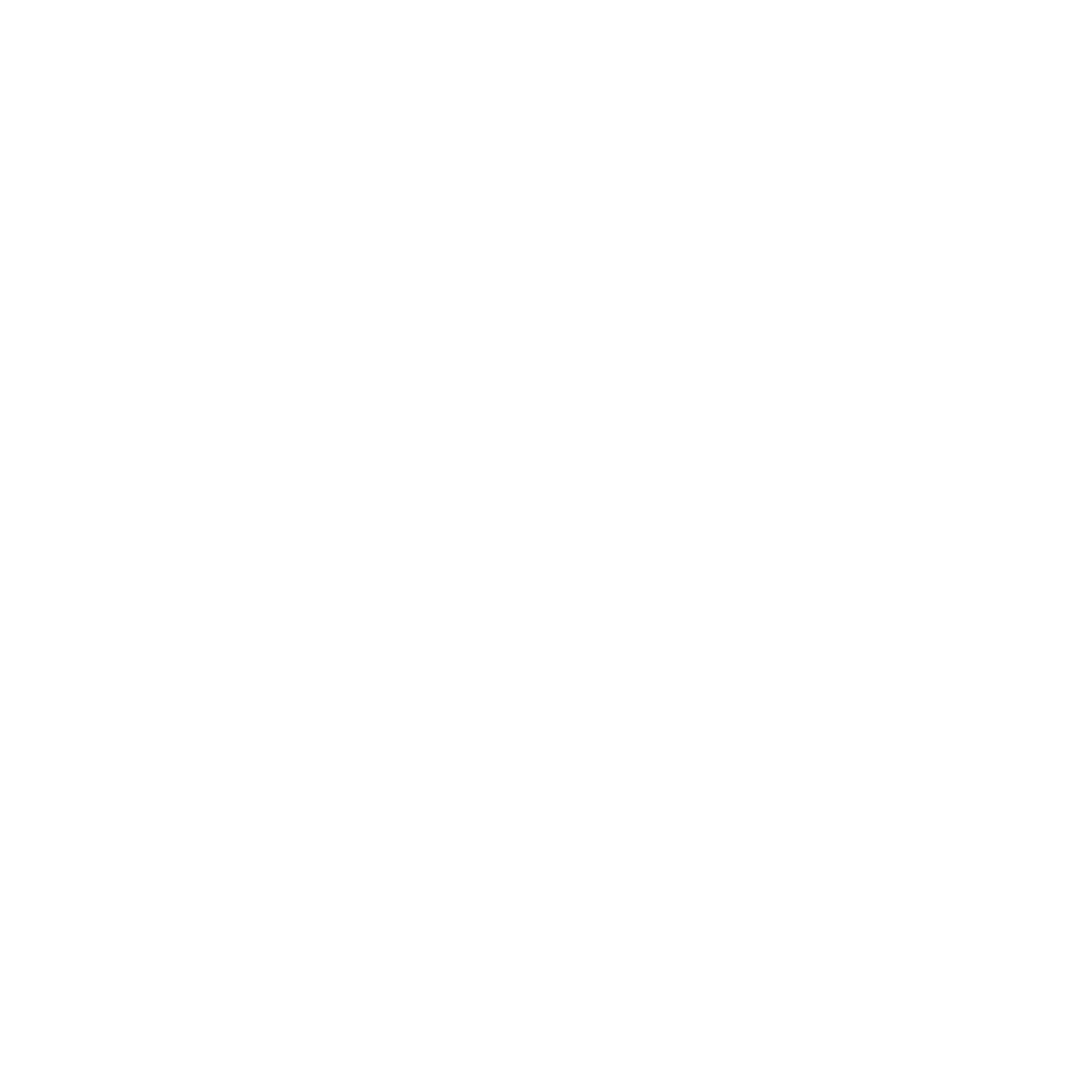 Warranty