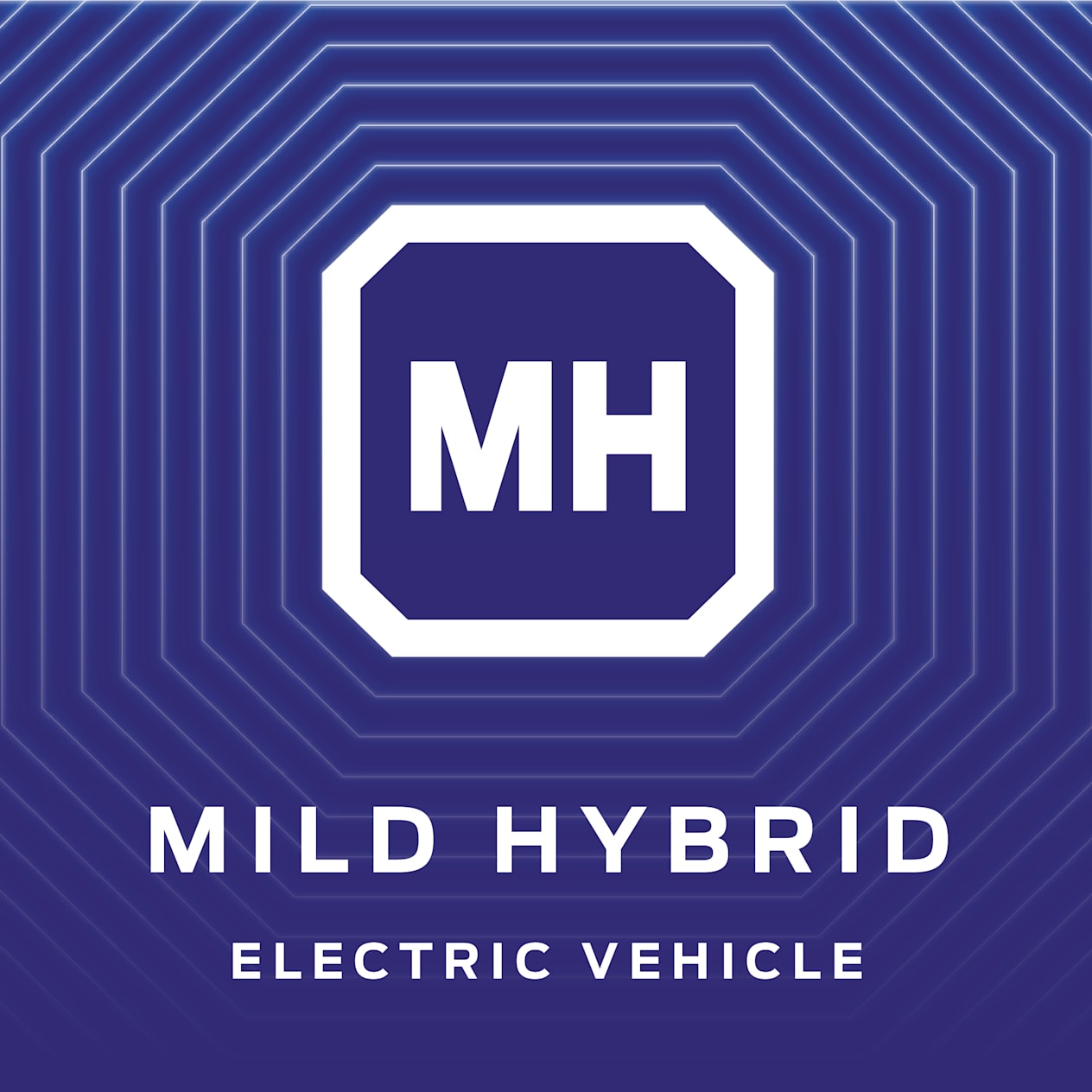 Electric Vehicle - Mild Hybrid Electric Vehicle - Mild Hybrid