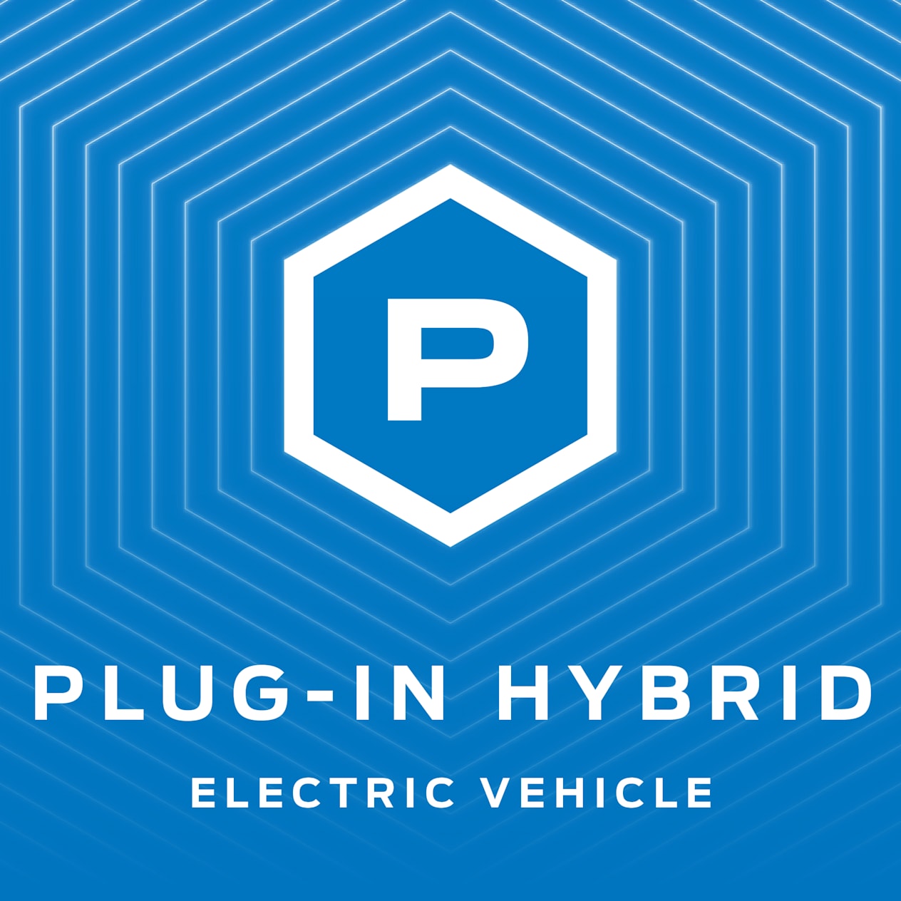 Electric Vehicle - Plug in Hybrid Electric Vehicle - Plug in Hybrid