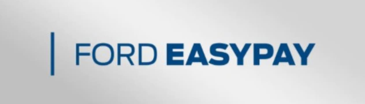EasyPay Header