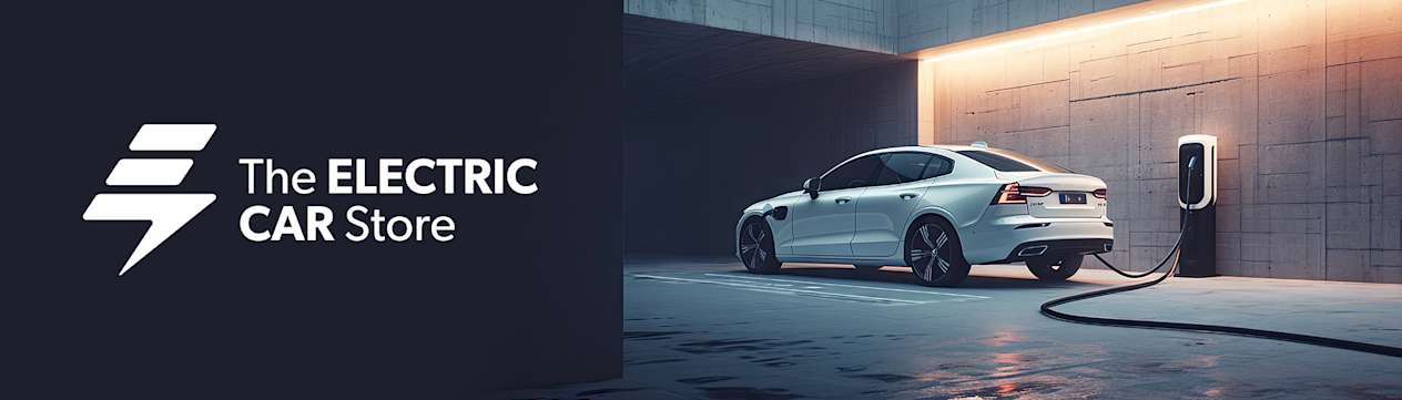 electric car store banner