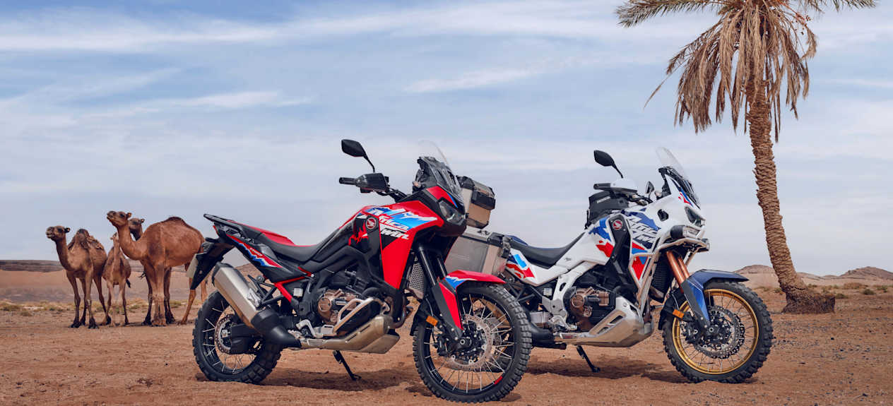 Honda Africa Twin et Africa Twin Adventure Sports 2024