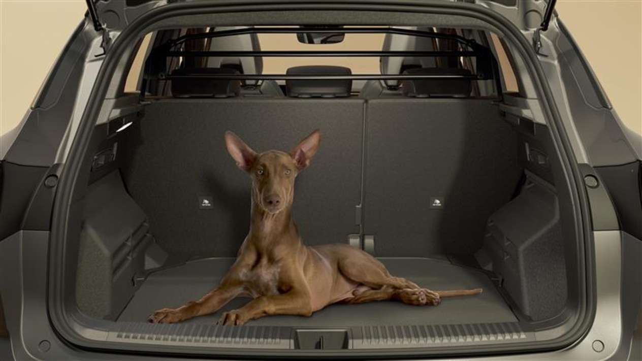The All-New Renault Austral Boot with Dog