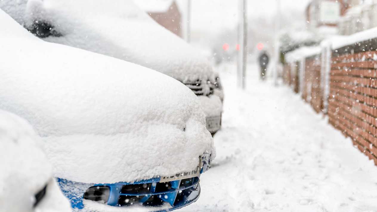 Shelly Motors delivery service winter