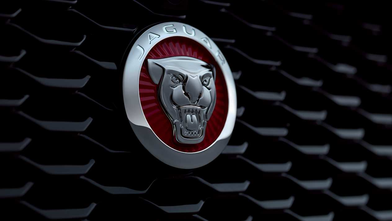 Jaguar Grille