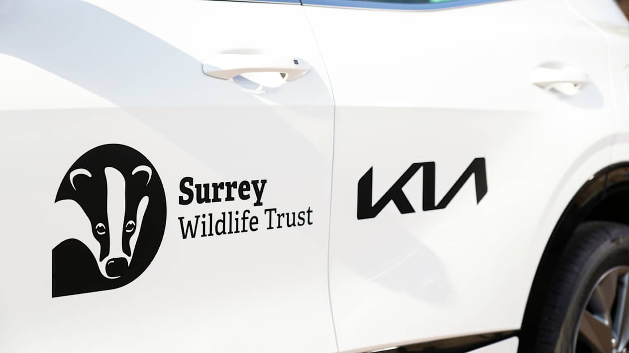 Kia Partners Surrey Wildlife Trust