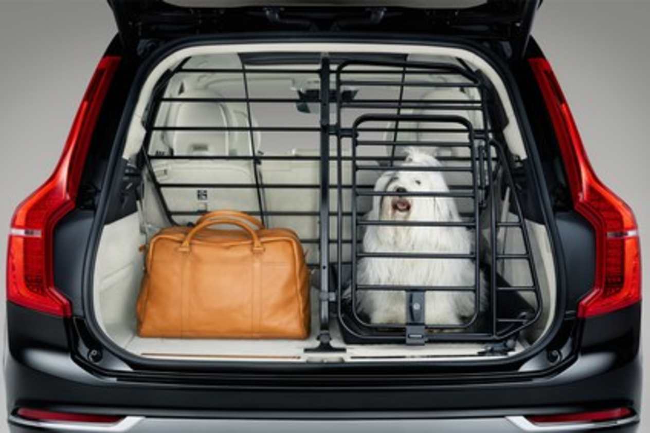 Dog Gate