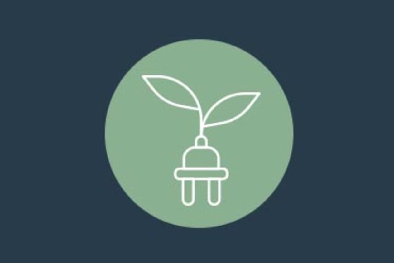 Green illustration of a plug attached to a leaf