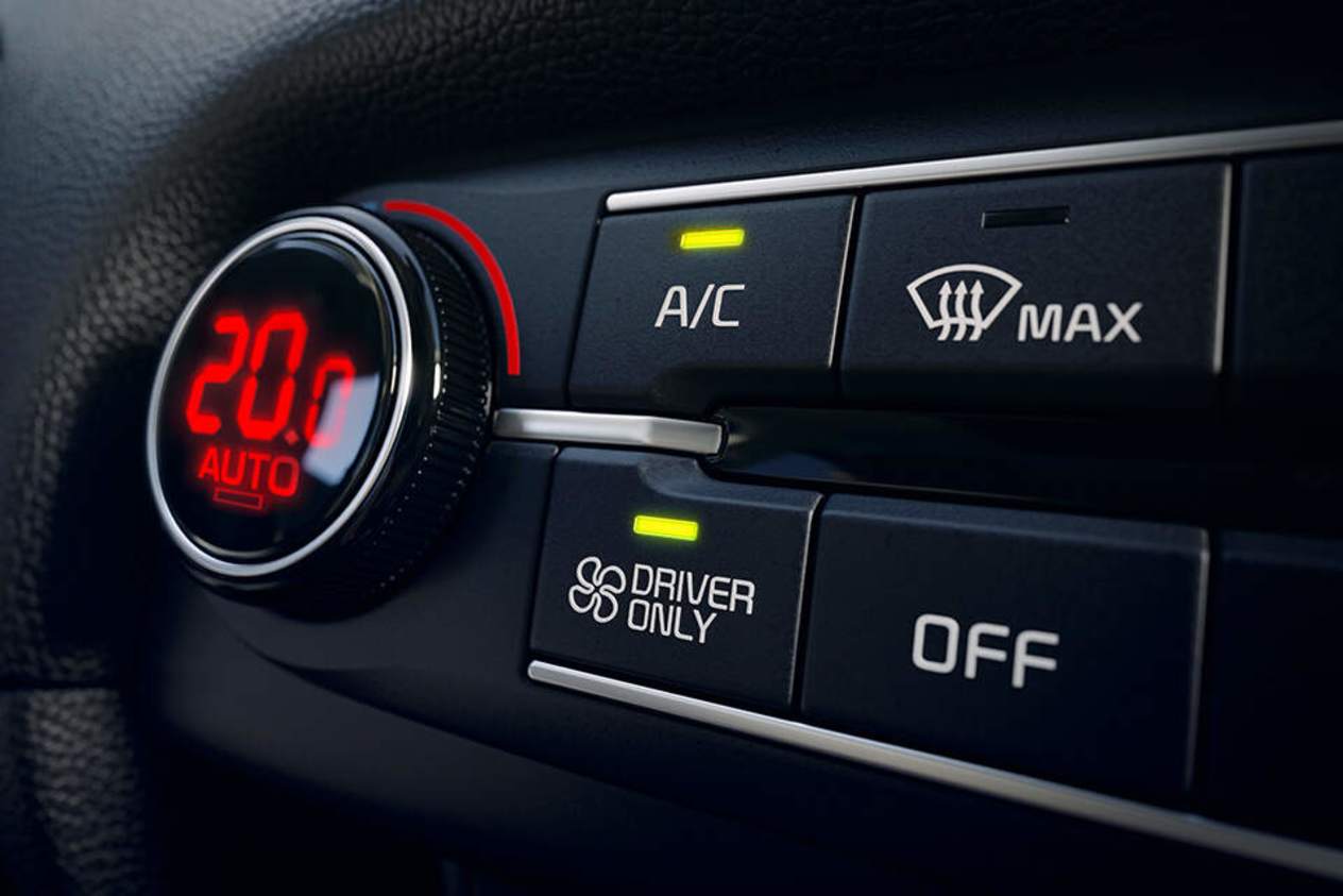 ceed interior