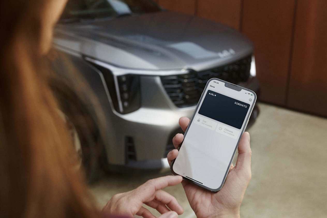 Sorento Technology