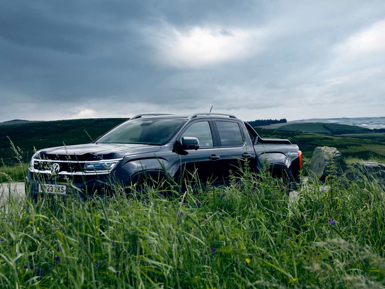 Black Volkswagen Amarok partially covered by long grass