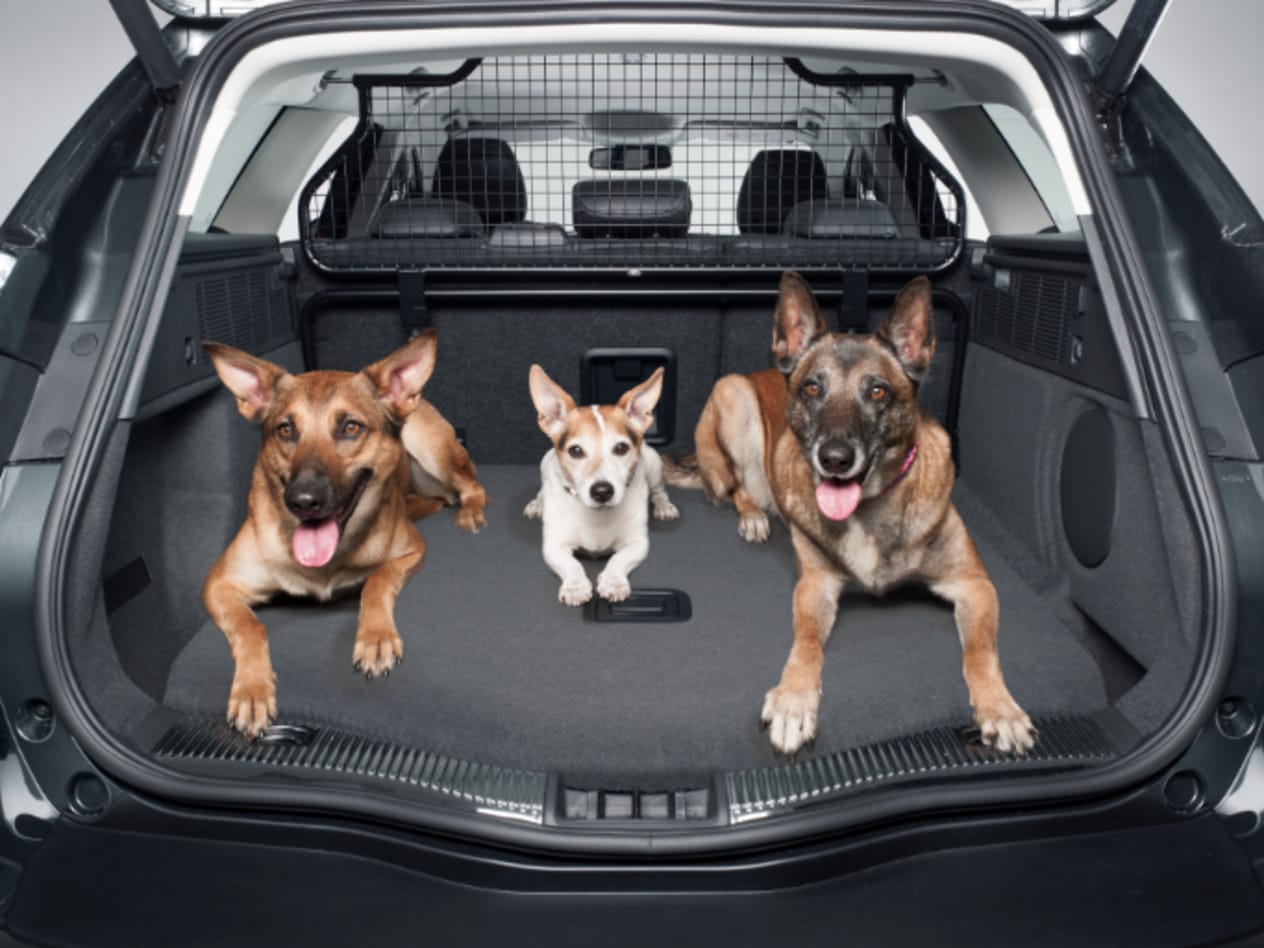 M53 Ford - Pet Pack.