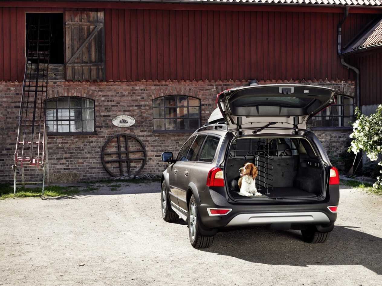 Volvo Accessories Special Offers Pet Pack