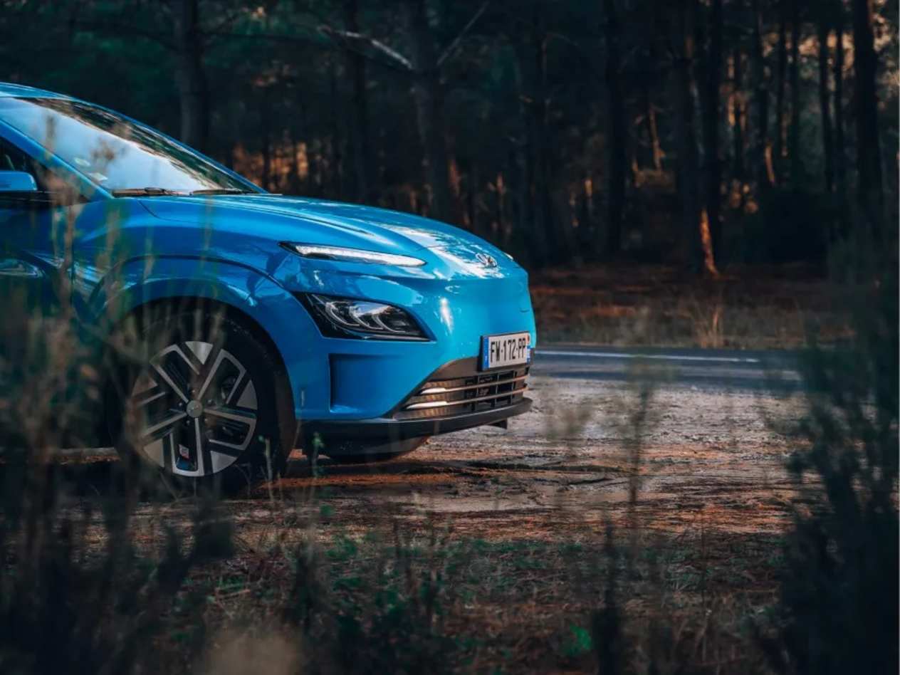 5 year paint warranty.