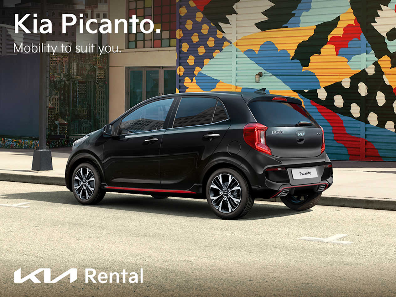 Kia Picanto Rental options