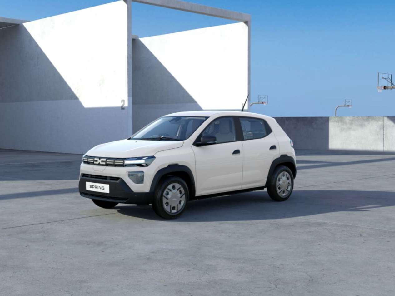 All-New Dacia Spring Cargo | Business