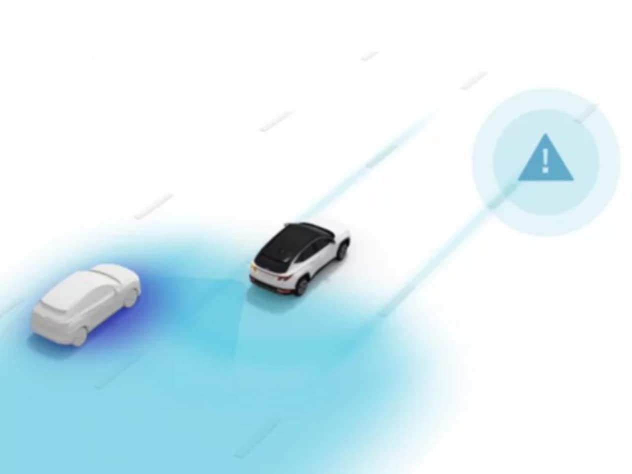 Blind-Spot View Monitor (BVM)