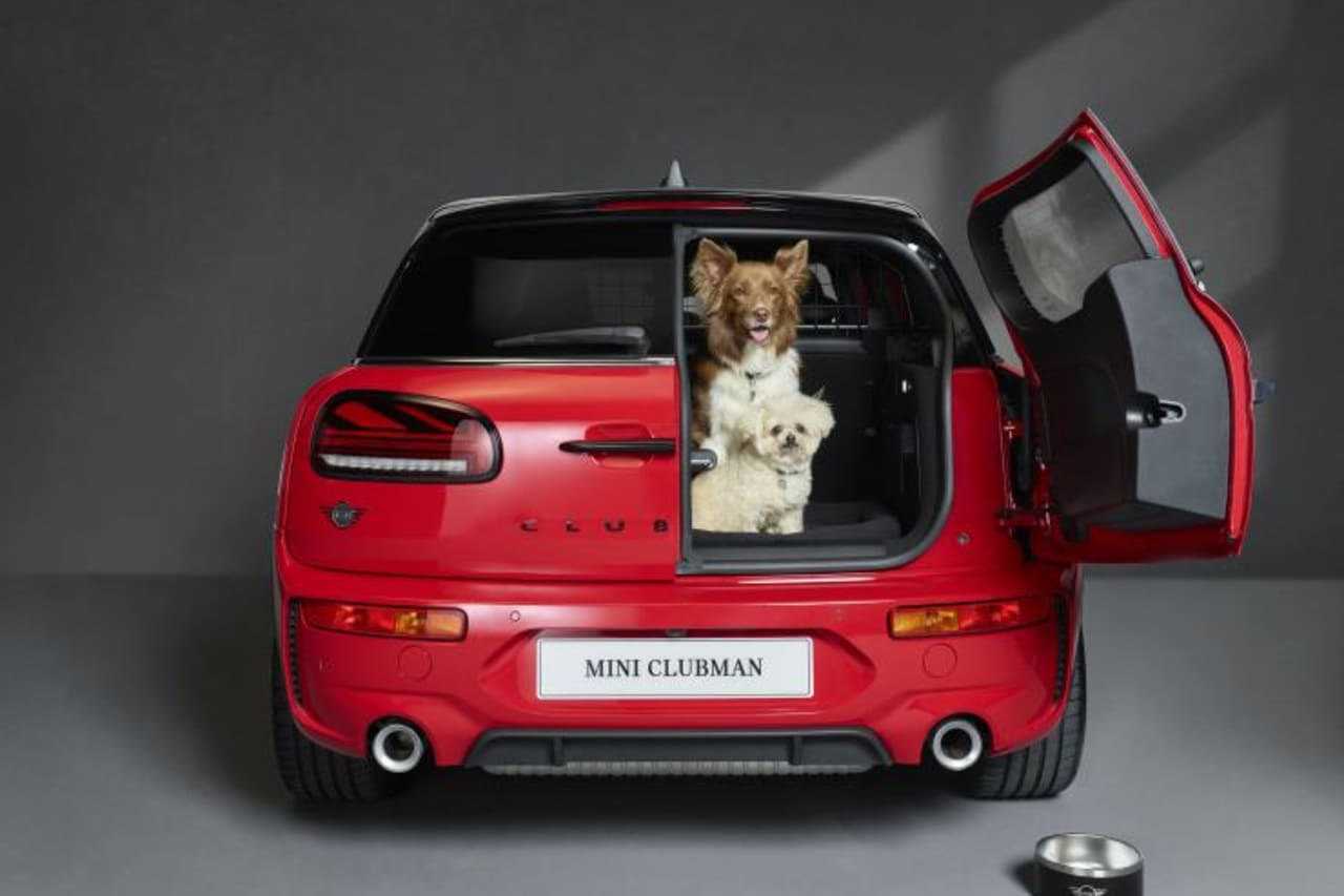 Mini Clubman dog friendly car of the year winner 2022