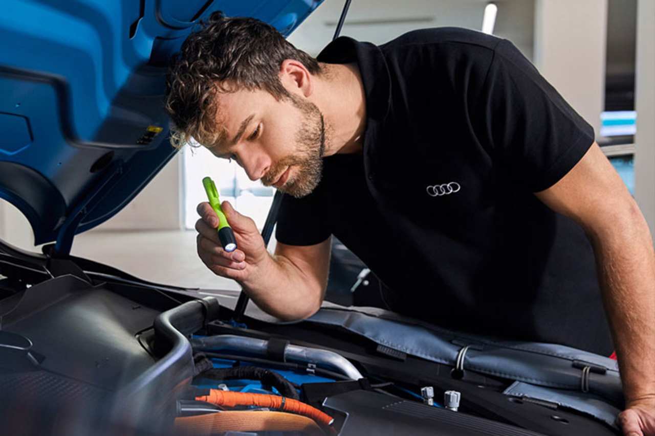 Audi 150 Point Check