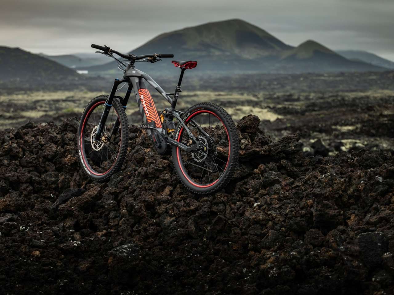 Audi e-bike