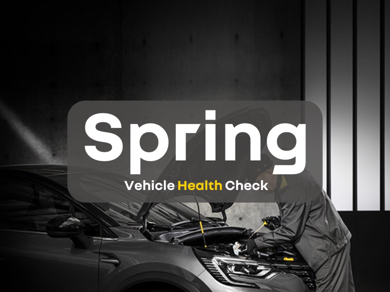 Renault Spring Vehicle Health Check 