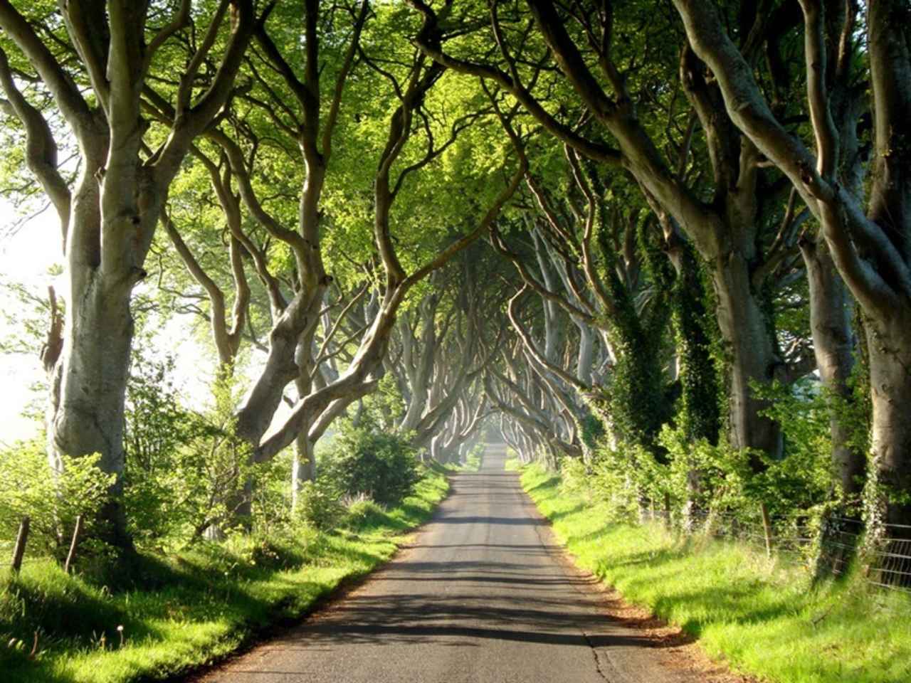EXPLORING NORTHERN IRELAND’S GAME OF THRONES LOCATIONS BY CAR