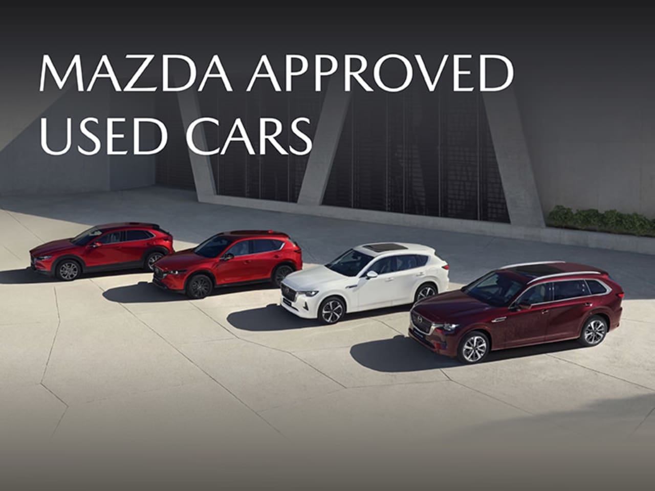 Used Car Offers