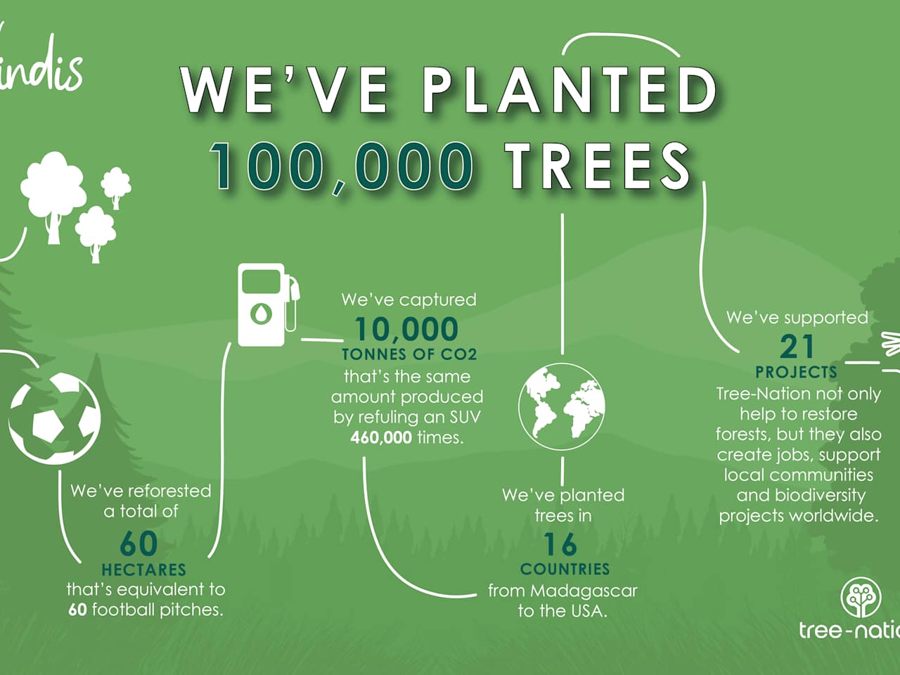 Vindis Group plant's 100,000 trees with Tree Nation.