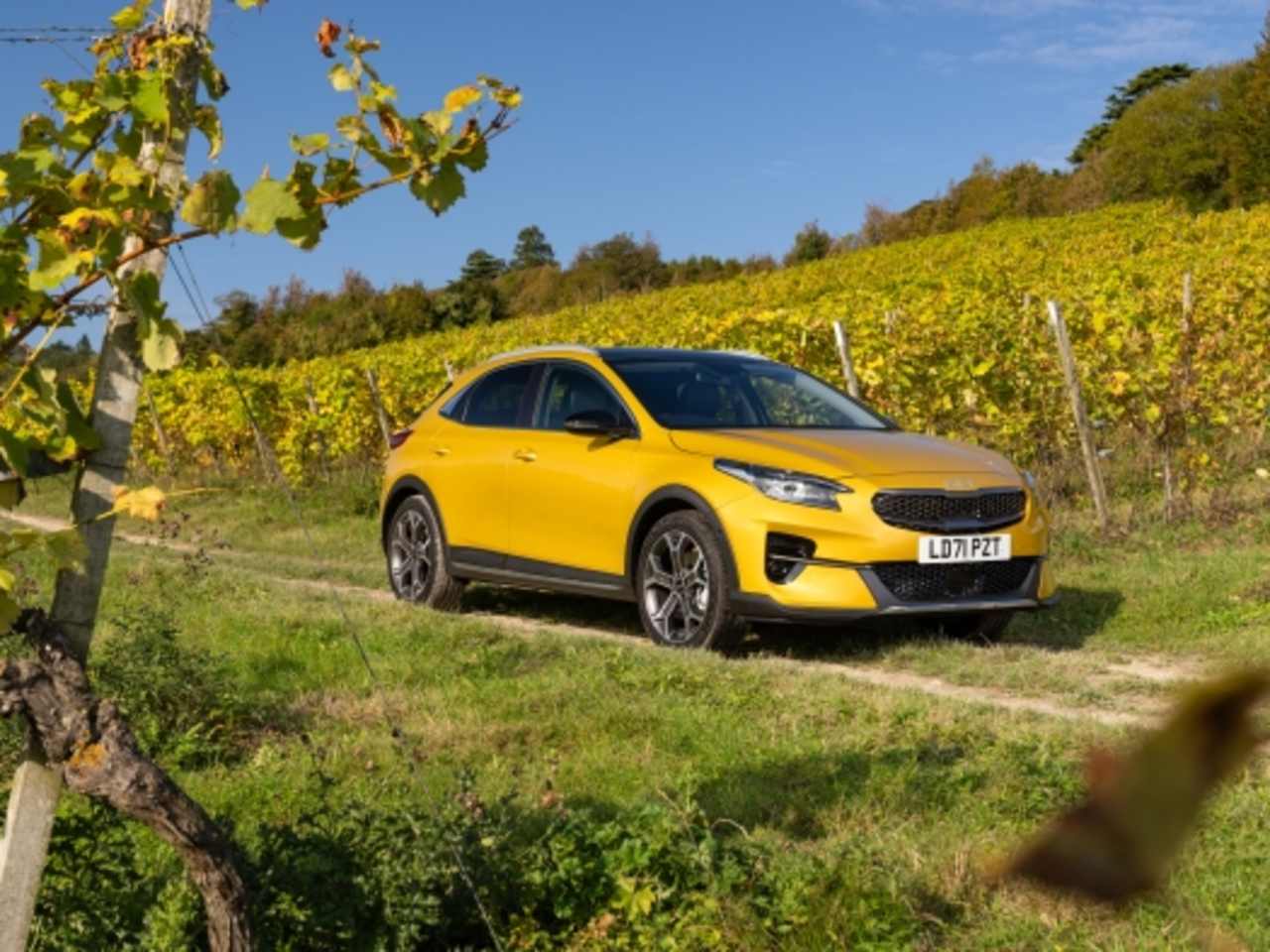 Kia XCeed voted best car to own in 2022 Driver Power survey