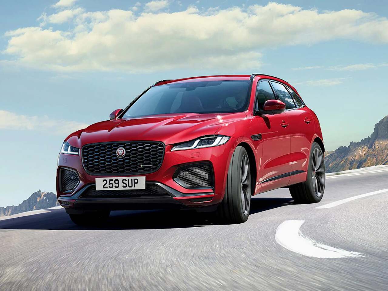 We Want Your Jaguar 