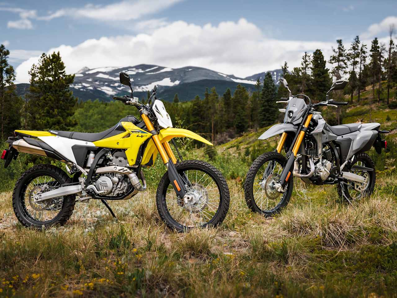 Suzuki DR-Z4S & DR-Z4SM : Retour en Force en 2025