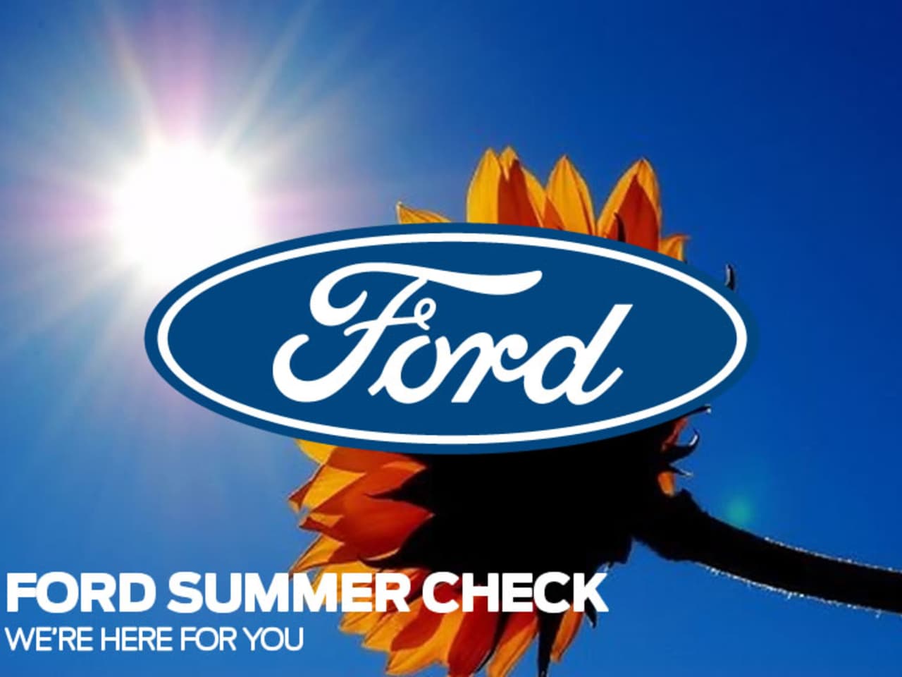 Ford Summer Check
