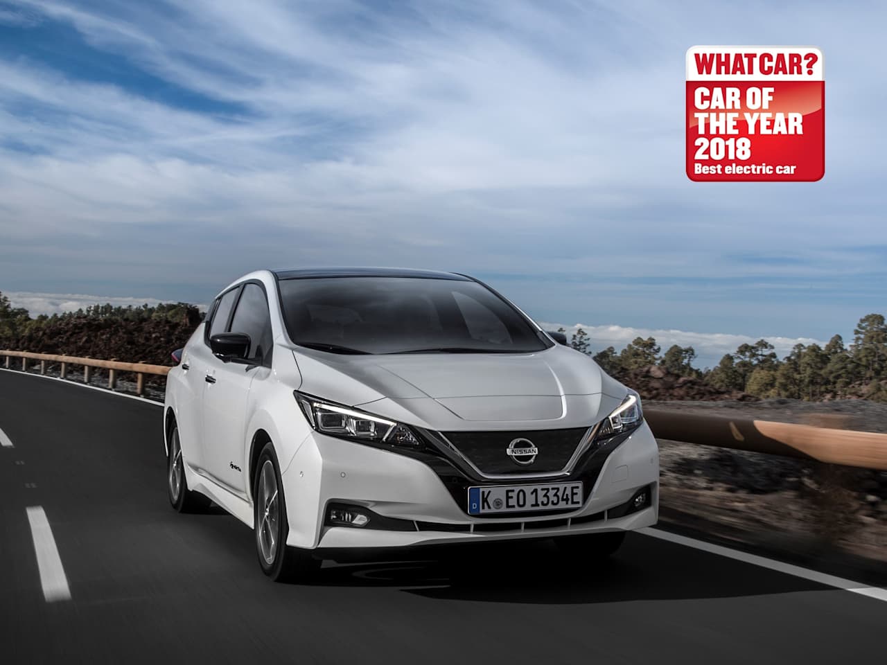 NISSAN LEAF NAMED 'BEST ELECTRIC CAR'