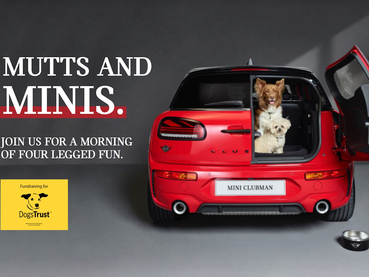 Mutts and MINIS 