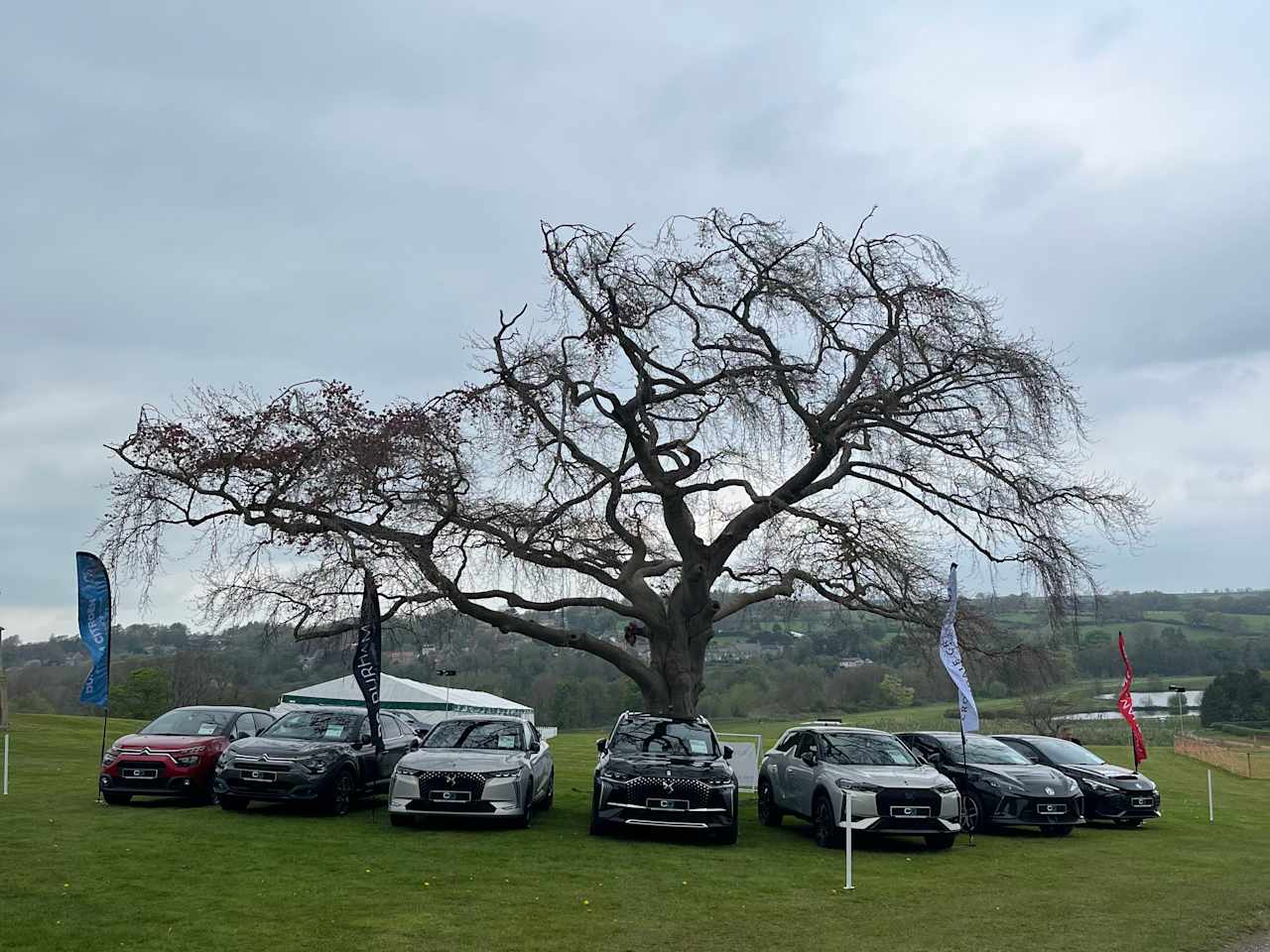 Croxdale at the Races