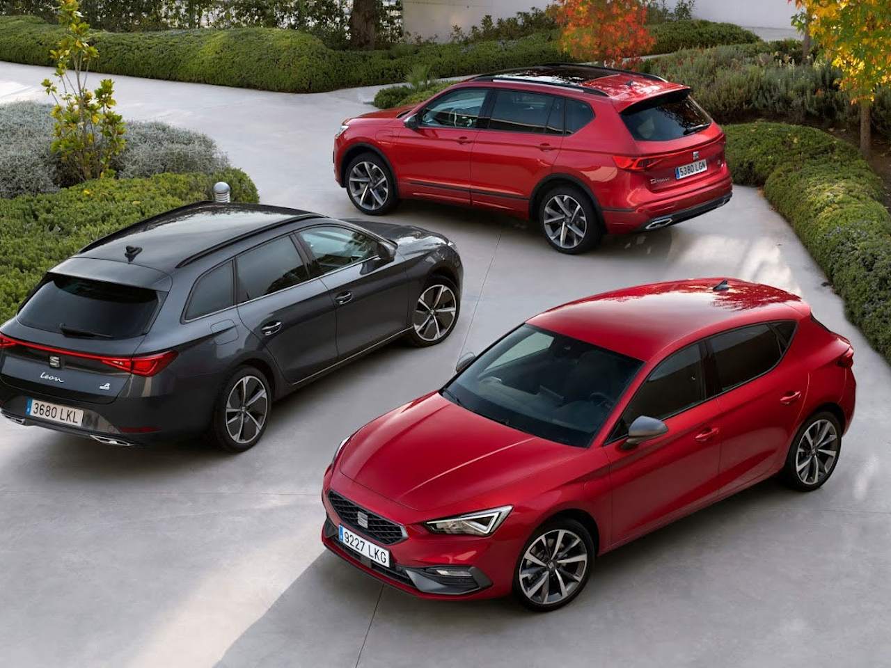 SEAT Test Drive Event! 